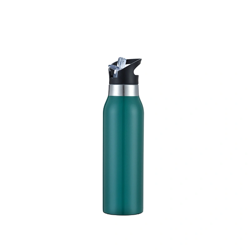Stainless steel insulated sporting bottle with straw lid