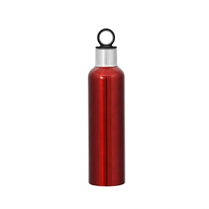 stainless steel vacuum insulated wine bottle