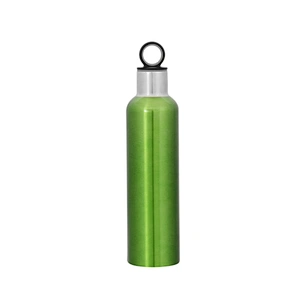 stainless steel vacuum insulated wine bottle