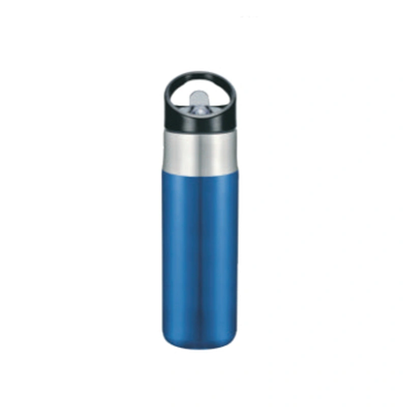 Vacuum insulated water bottle with straw Lid