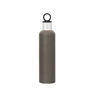 stainless steel vacuum insulated wine bottle