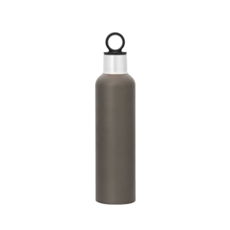 stainless steel vacuum insulated wine bottle