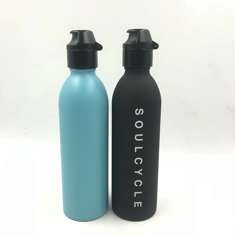 Stainless steel vacuum  insulated bottle