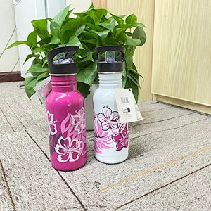 750ml Steel Water Bottle Stainless Steel single wall Flask