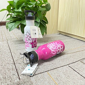 750ml Steel Water Bottle Stainless Steel single wall Flask