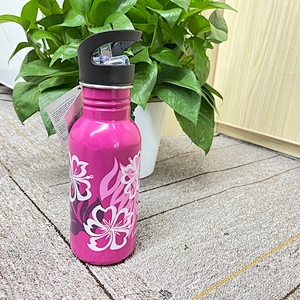 750ml Steel Water Bottle Stainless Steel single wall Flask