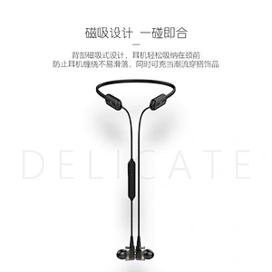 Neckband Earbuds（BN80）