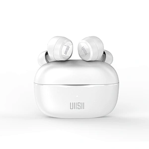 TWS earphones(TWS101）