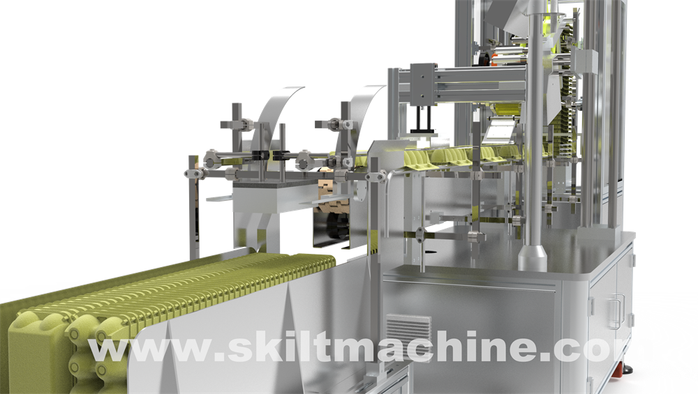 egg box label pasting machine l egg box labeling machine l SKILT Machinery