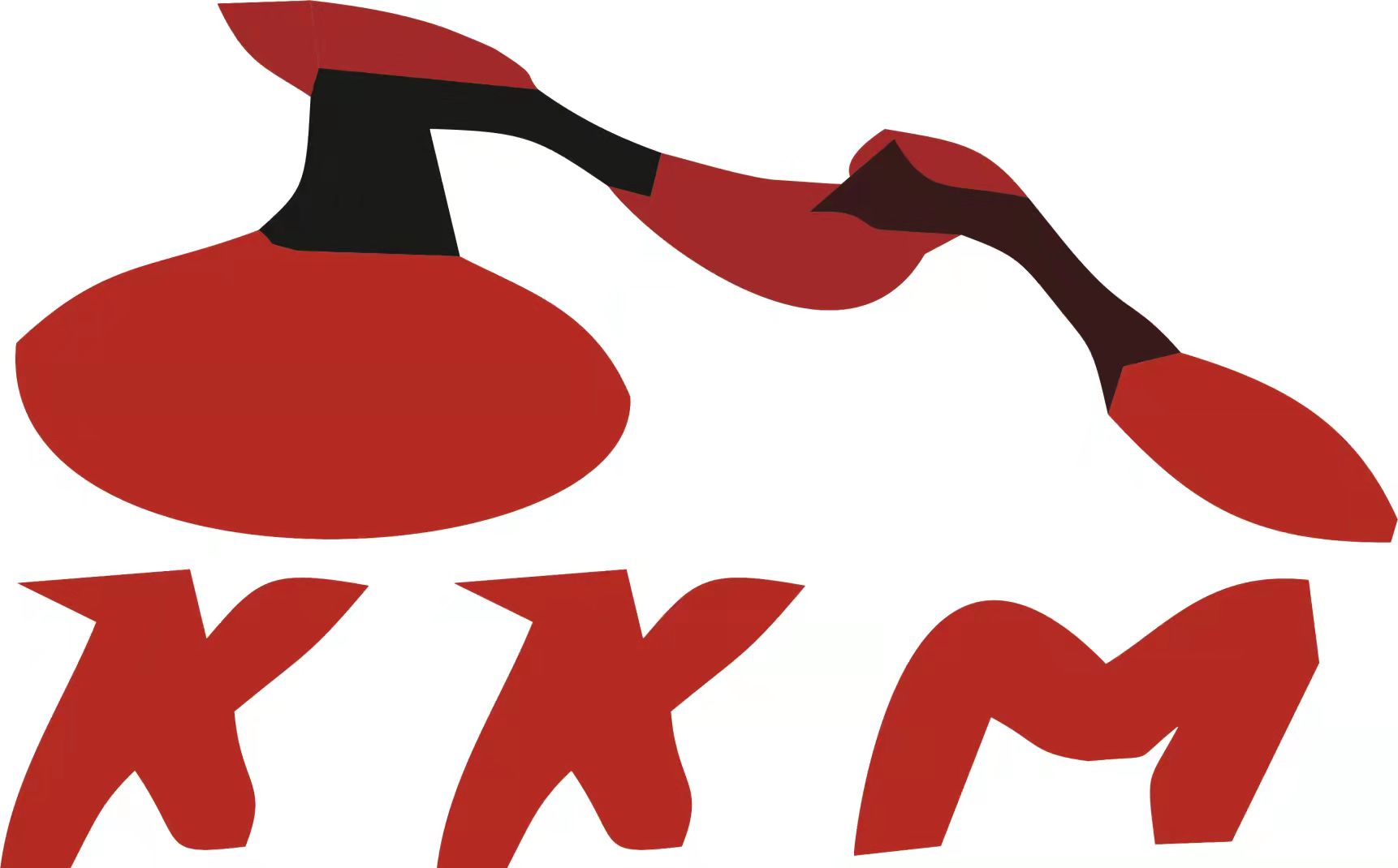 SHENZHEN KKM COMPANY LIMITED