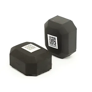 Support Integration Waterproof Ble 5.0 Nordic chip Programmable IoT Beacon Eddystone iBeacon