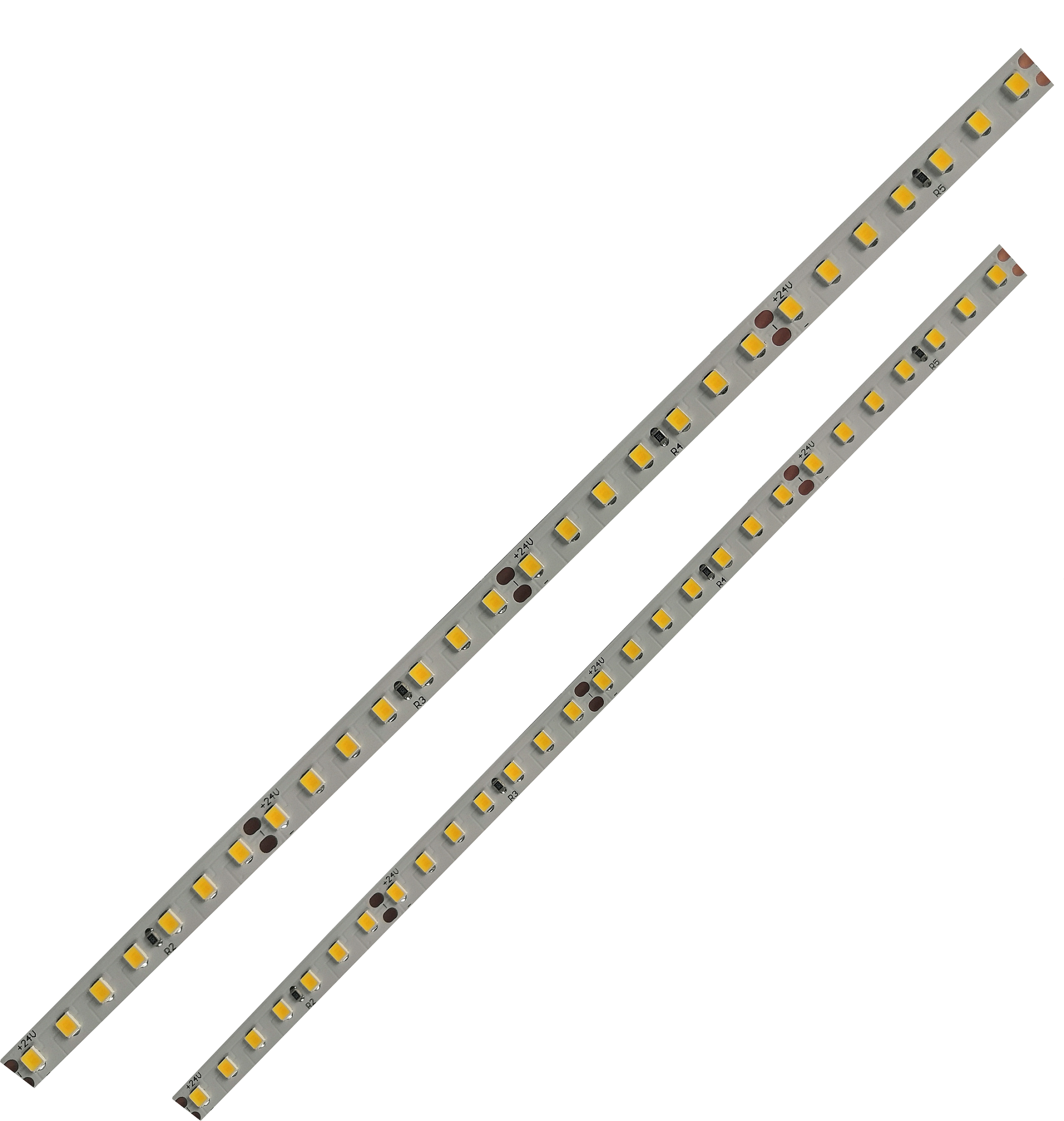 Economic LED strips 24V