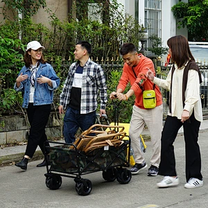 Outdoor Collapsible Utility Camping Garden Metal Folding Beach Wagon Cart