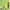 electronic cigarette reusable,rick morty disposable vapes