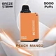 2% or 5% nicotine salt strength, Breze Stiik Box 5Kdisposable vape pod, with mesh coil, and adjustable airflow, the compact device, comes with pre-filled 12ml, of salt nic
