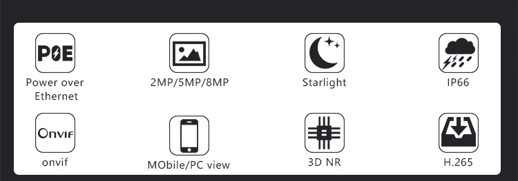 Starlight IP Camera