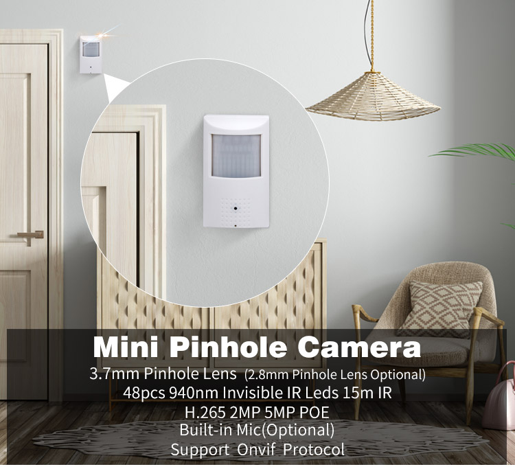 Mini Pinhole ip Camera