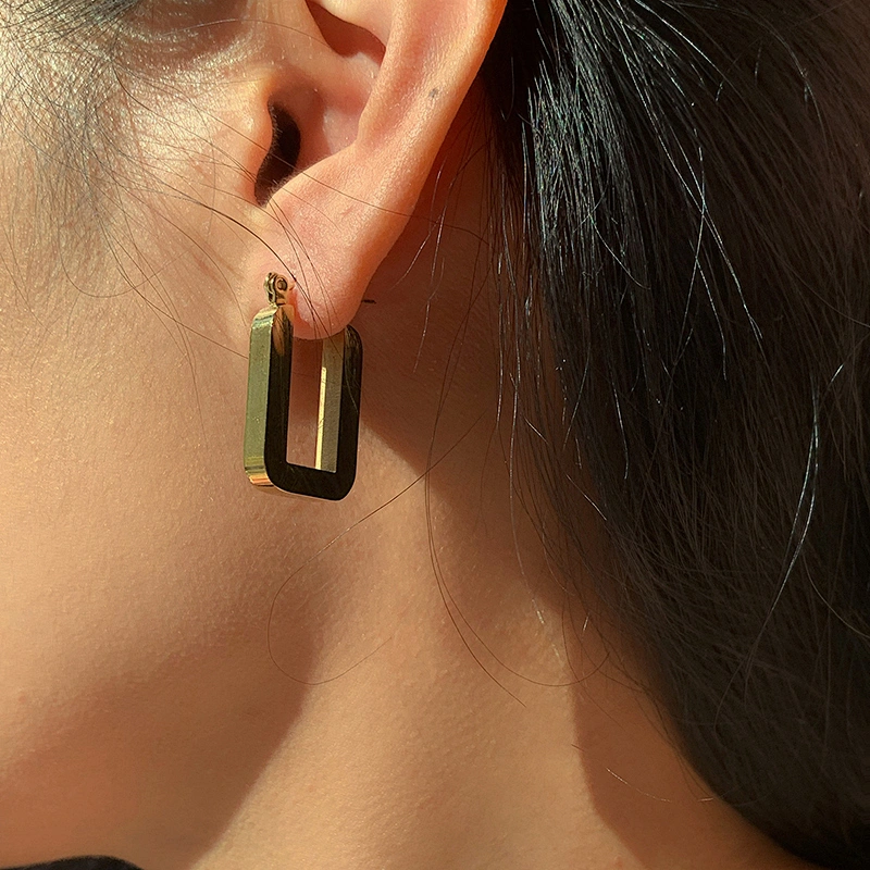 Titanium Steel Earrings Gold Plated Steel Geometric Earrings