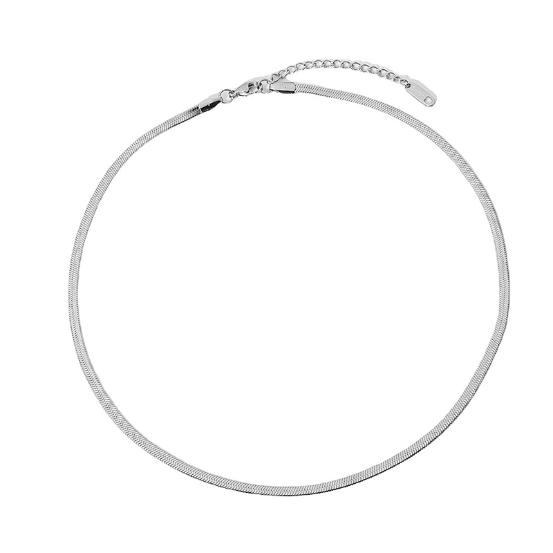 Simple Necklace Silver Single Layer Choker Stainless Steel Necklace