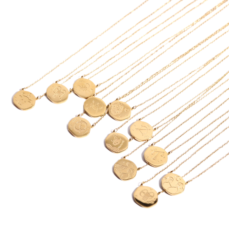 Trend Stainless Steel Zodiac Sign Charm Series Necklace