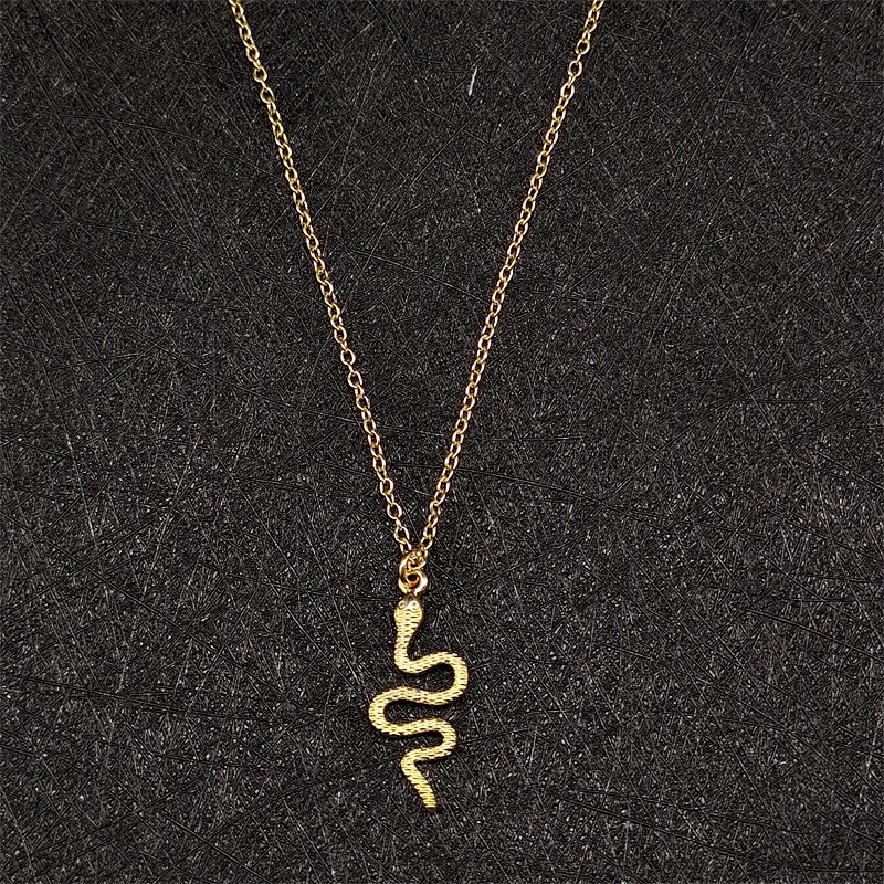Personality Snake Pendant Choker Titanium Steel Necklace