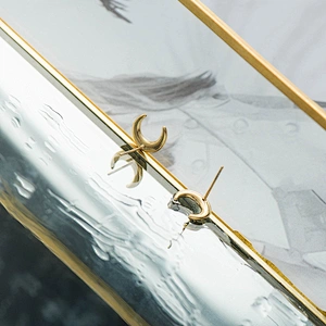 Stainless Steel Ring Simple New Ear Stud Moon Shape Earings