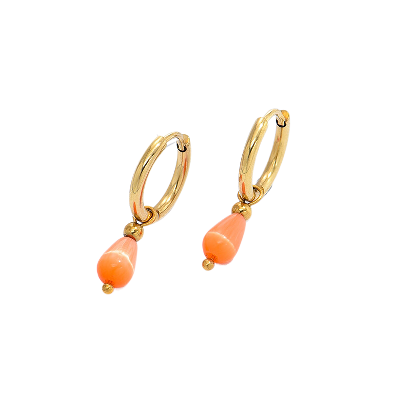 Stainless Steel Trend Earrings Hoop Earrings