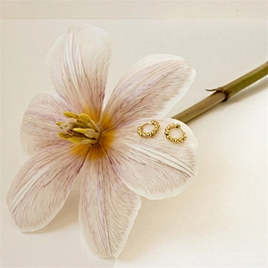 Classic Hoop Earrings Temperament Girl's Daily Wear Earrings