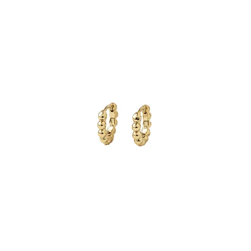 Classic Hoop Earrings Temperament Girl's Daily Wear Earrings