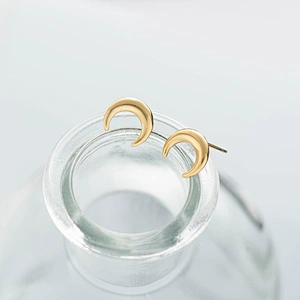 Stainless Steel Ring Simple New Ear Stud Moon Shape Earings