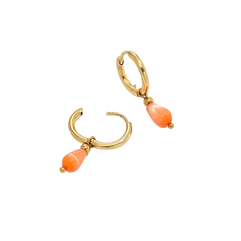 Stainless Steel Trend Earrings Hoop Earrings