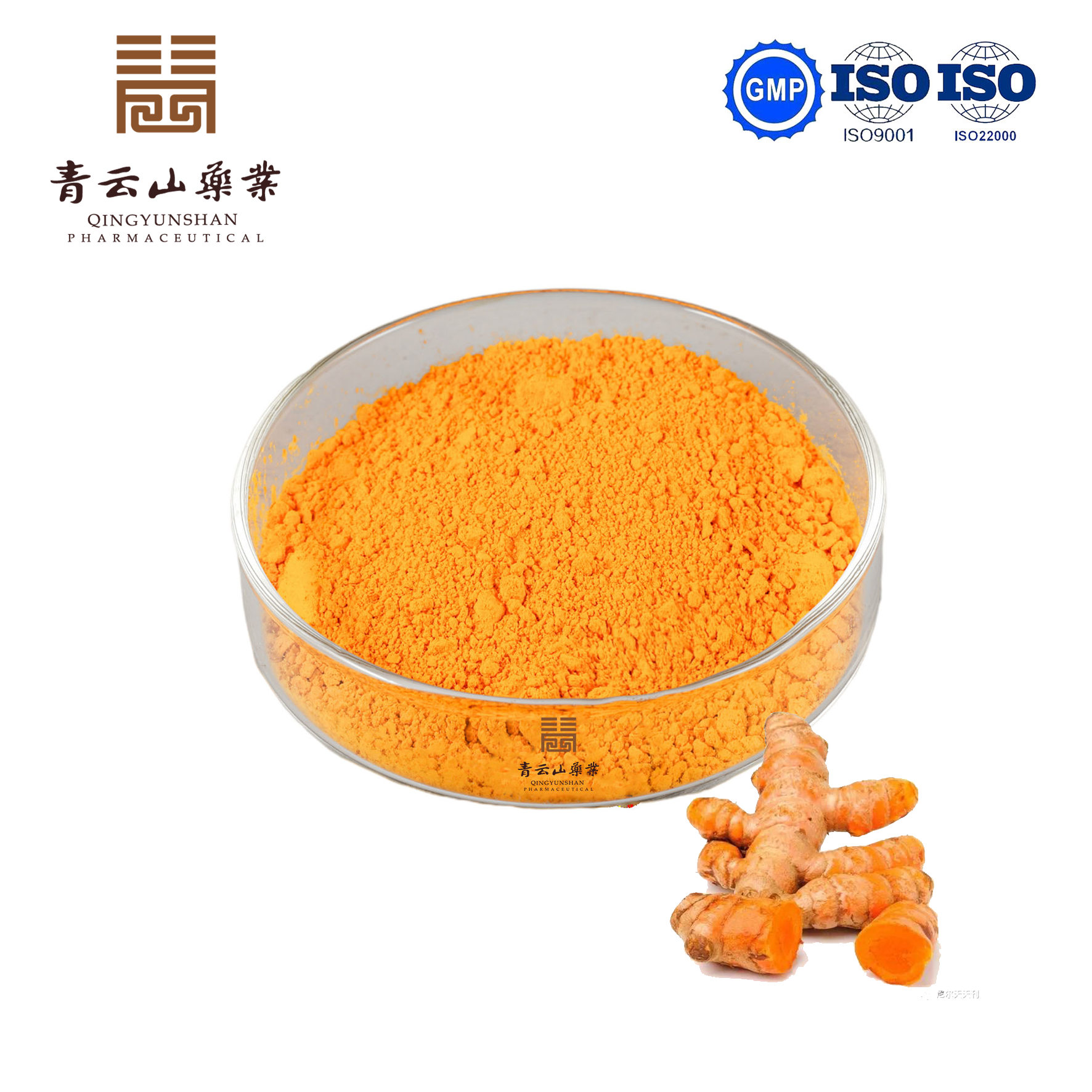 Turmeric Extract