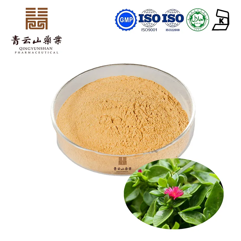 Andrographis Extract
