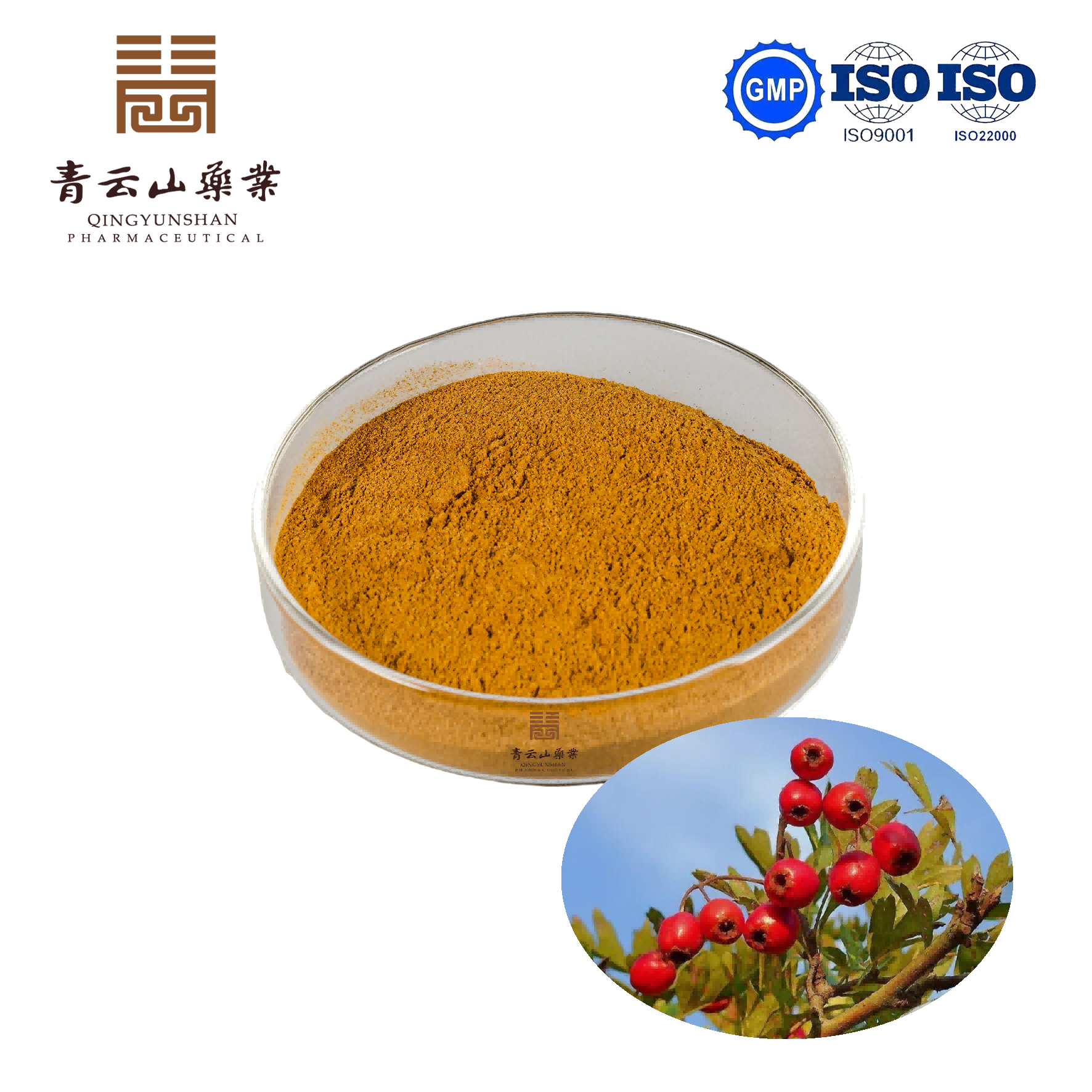 European Hawthorn Leaf Extract