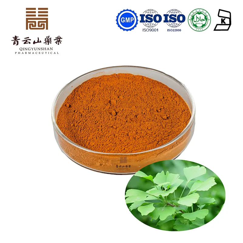 Ginkgo Biloba Extract