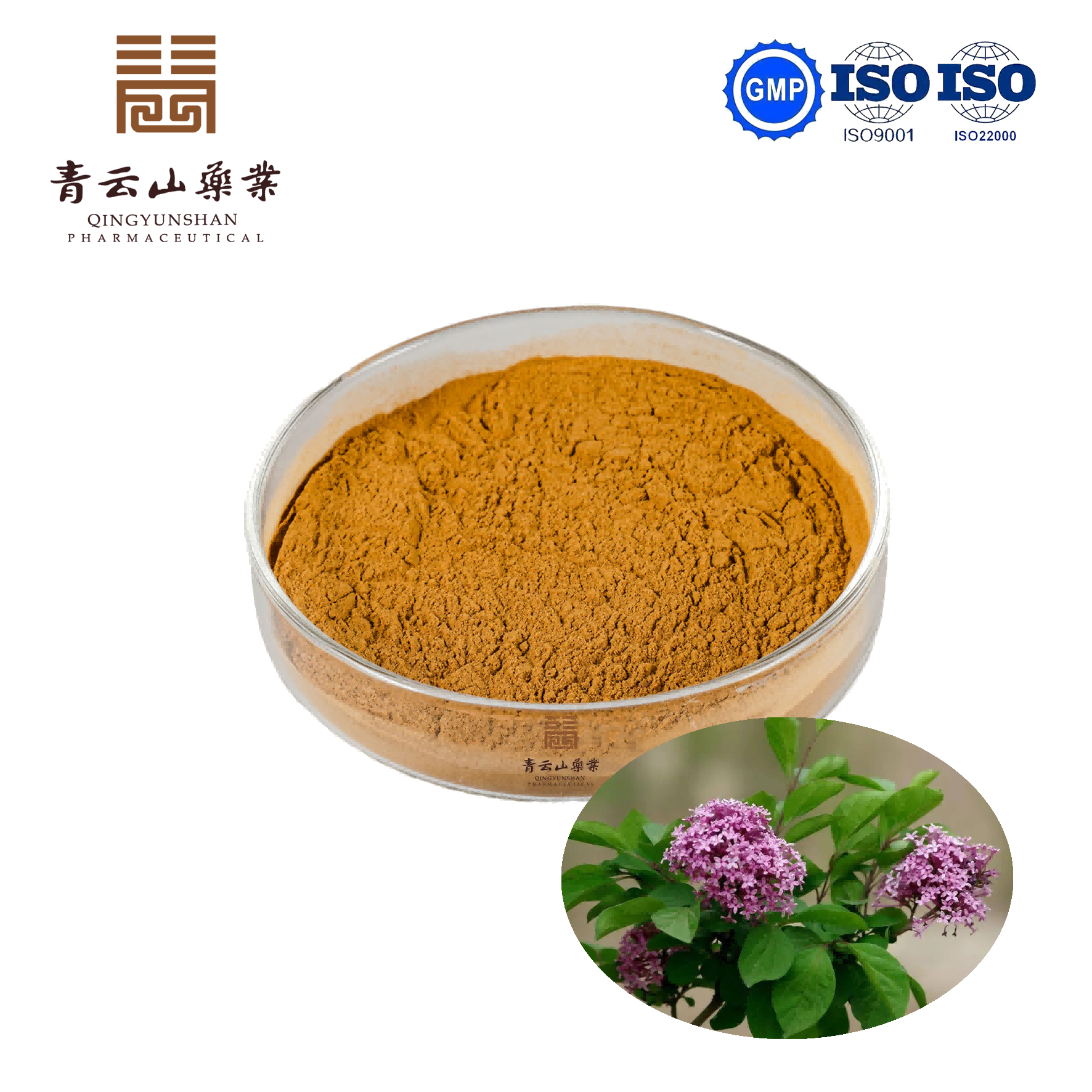 Clove Powder