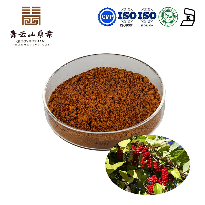 Schisandra Berry Extract