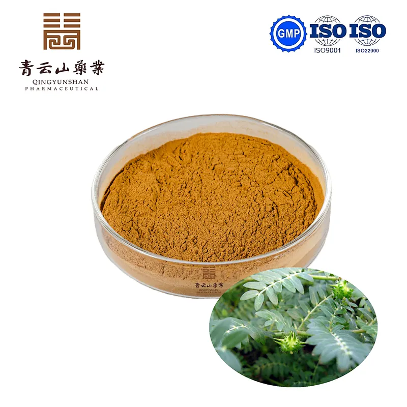 Tribulus Terrestris Extract