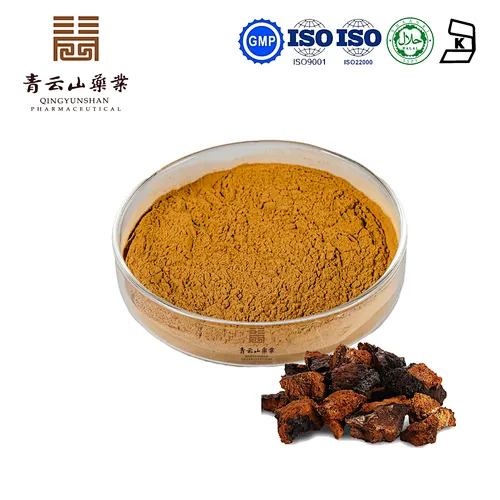 Chaga Mushroom Extract