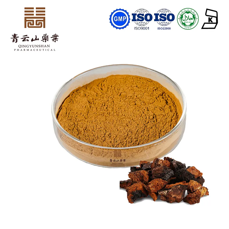 Chaga Mushroom Extract