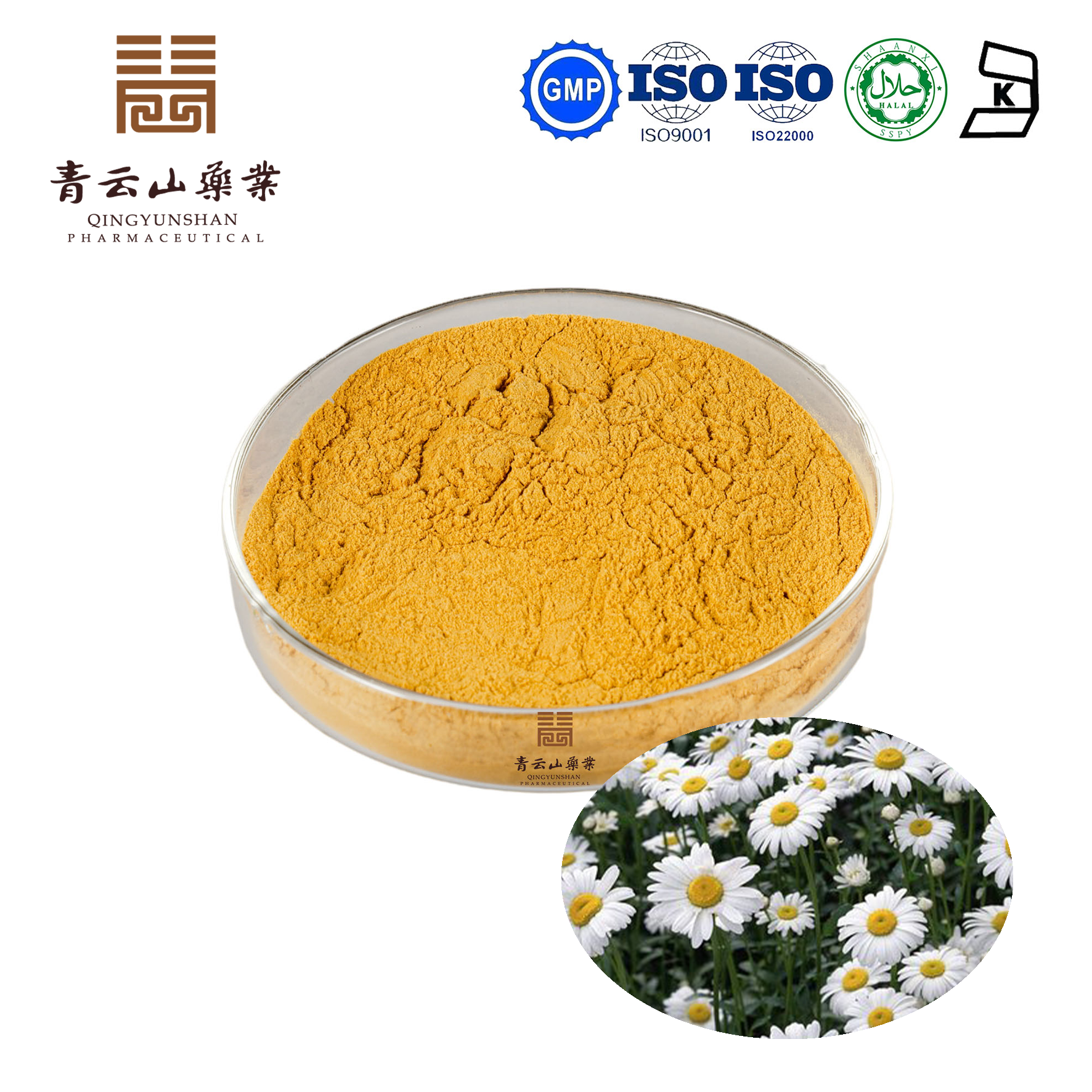 Chrysanthemum Extract