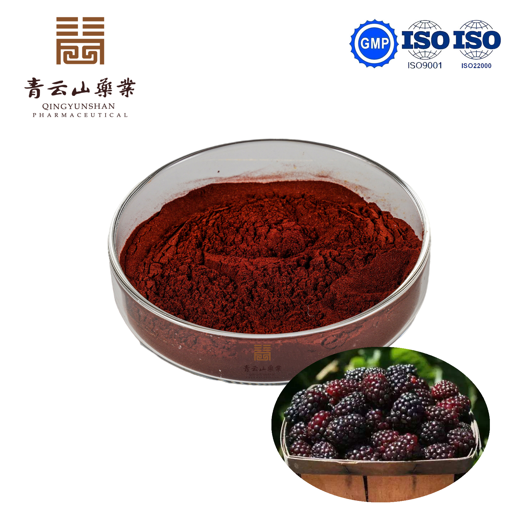 Boysenberry SD Powder