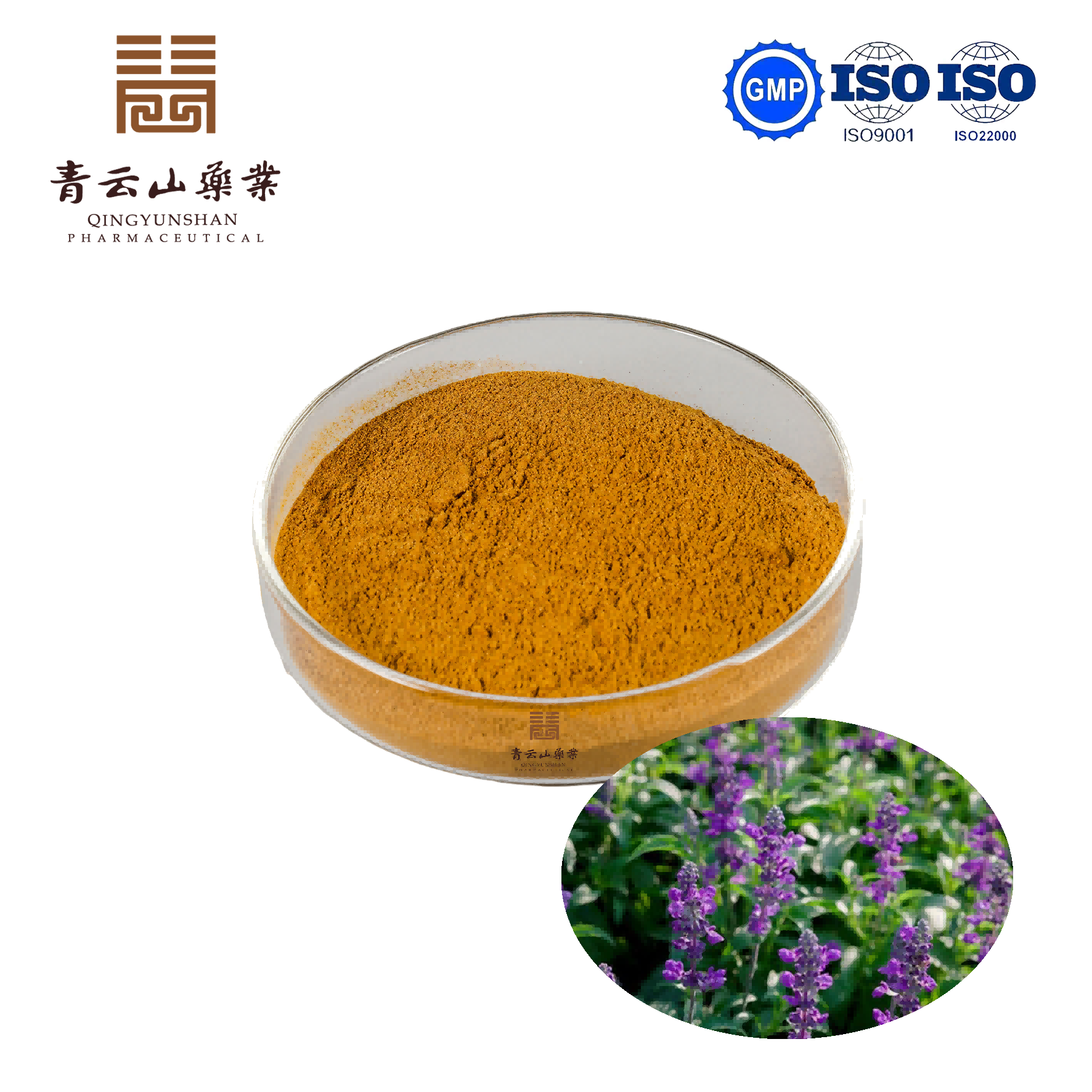 Coleus Forskohlii Extract