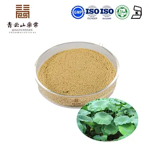 Lotus Leaf Extract
