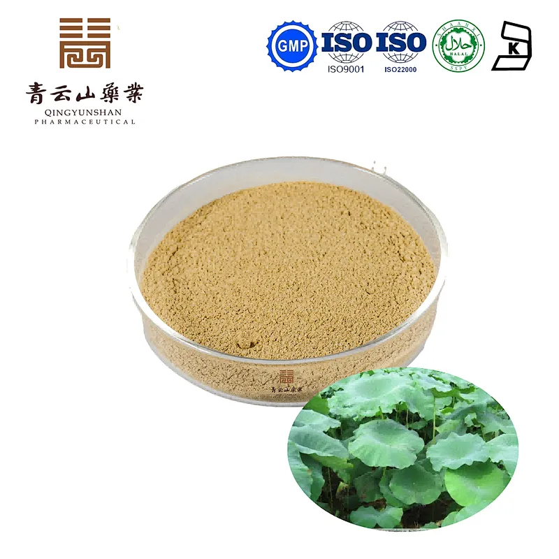 Lotus Leaf Extract