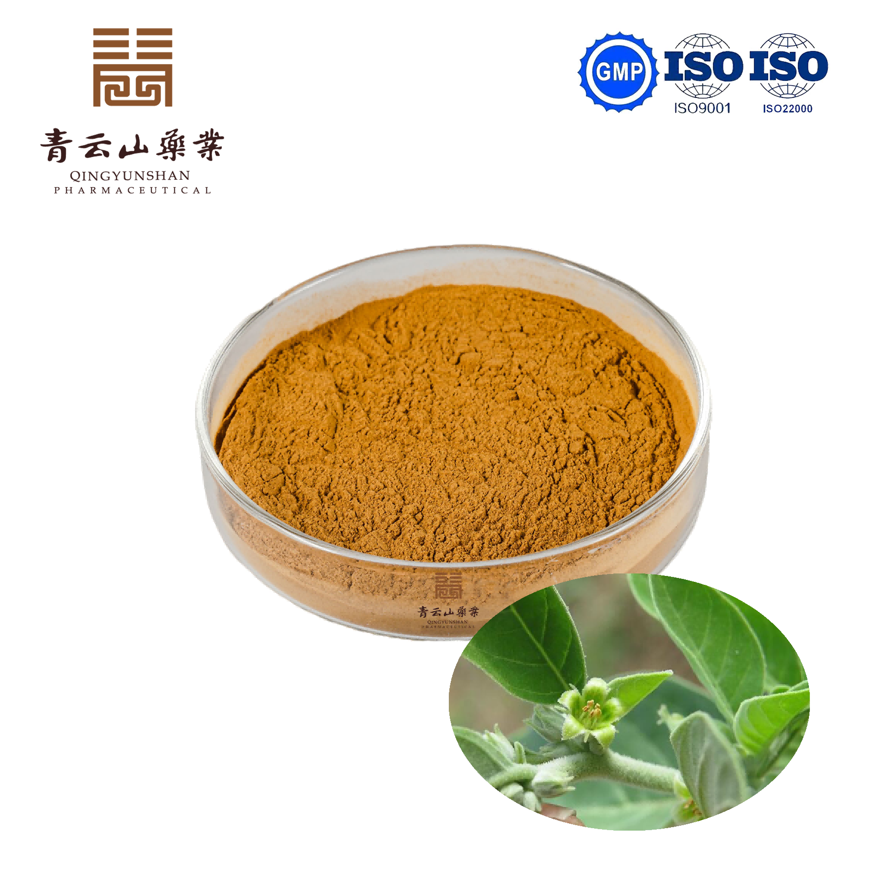 Ashwagandha Extract