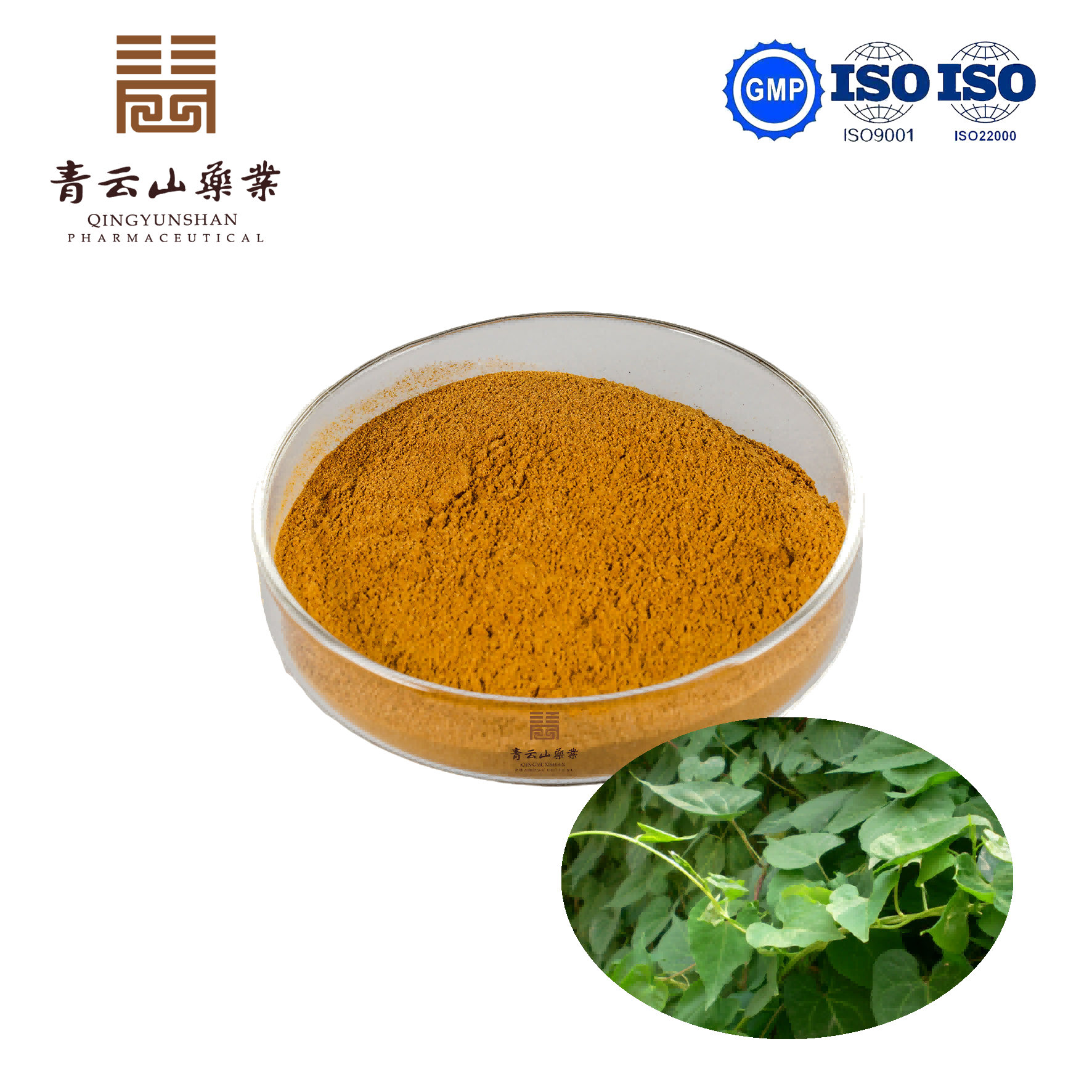 Tuber Fleeceflower Stem Extract
