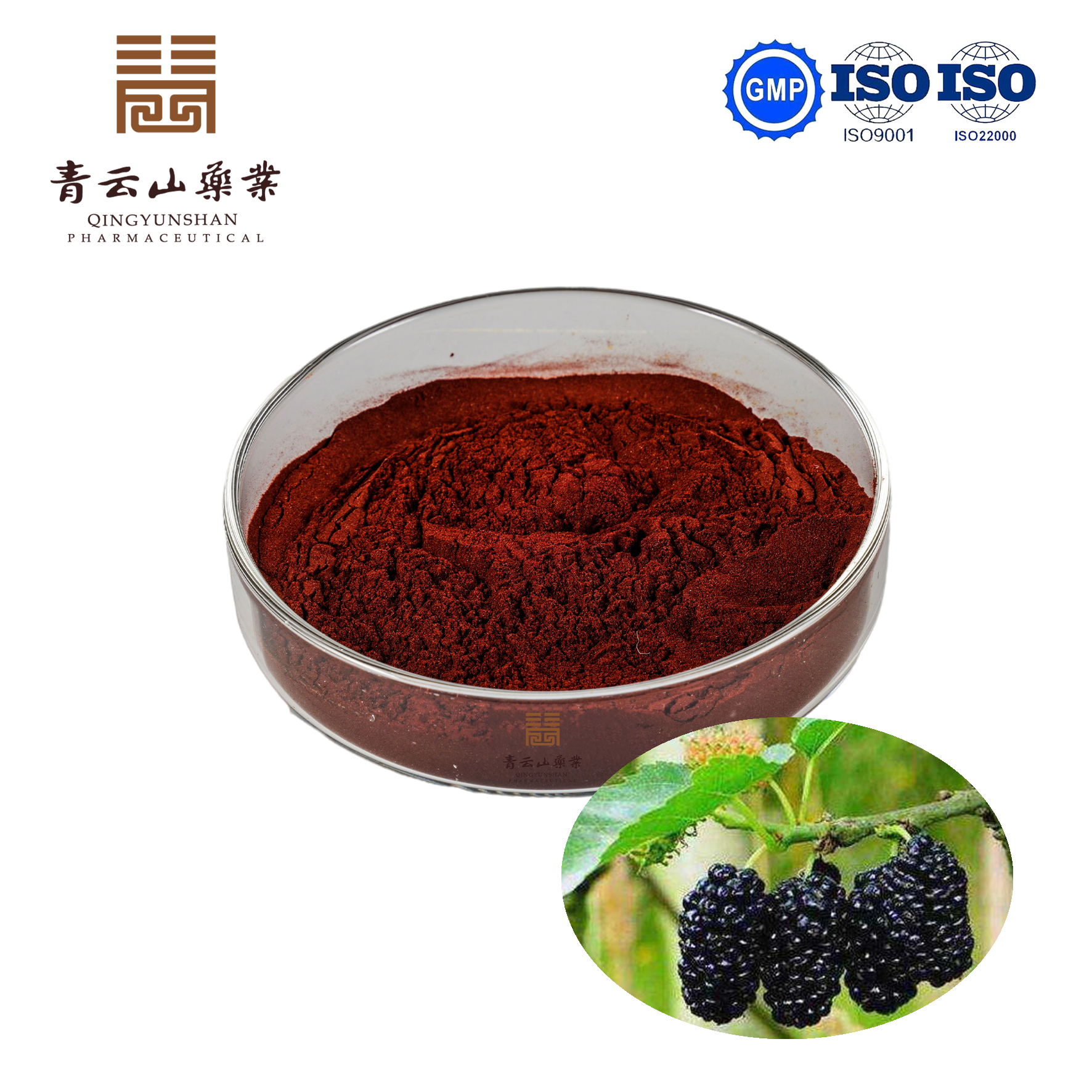 Mulberry SD Powder