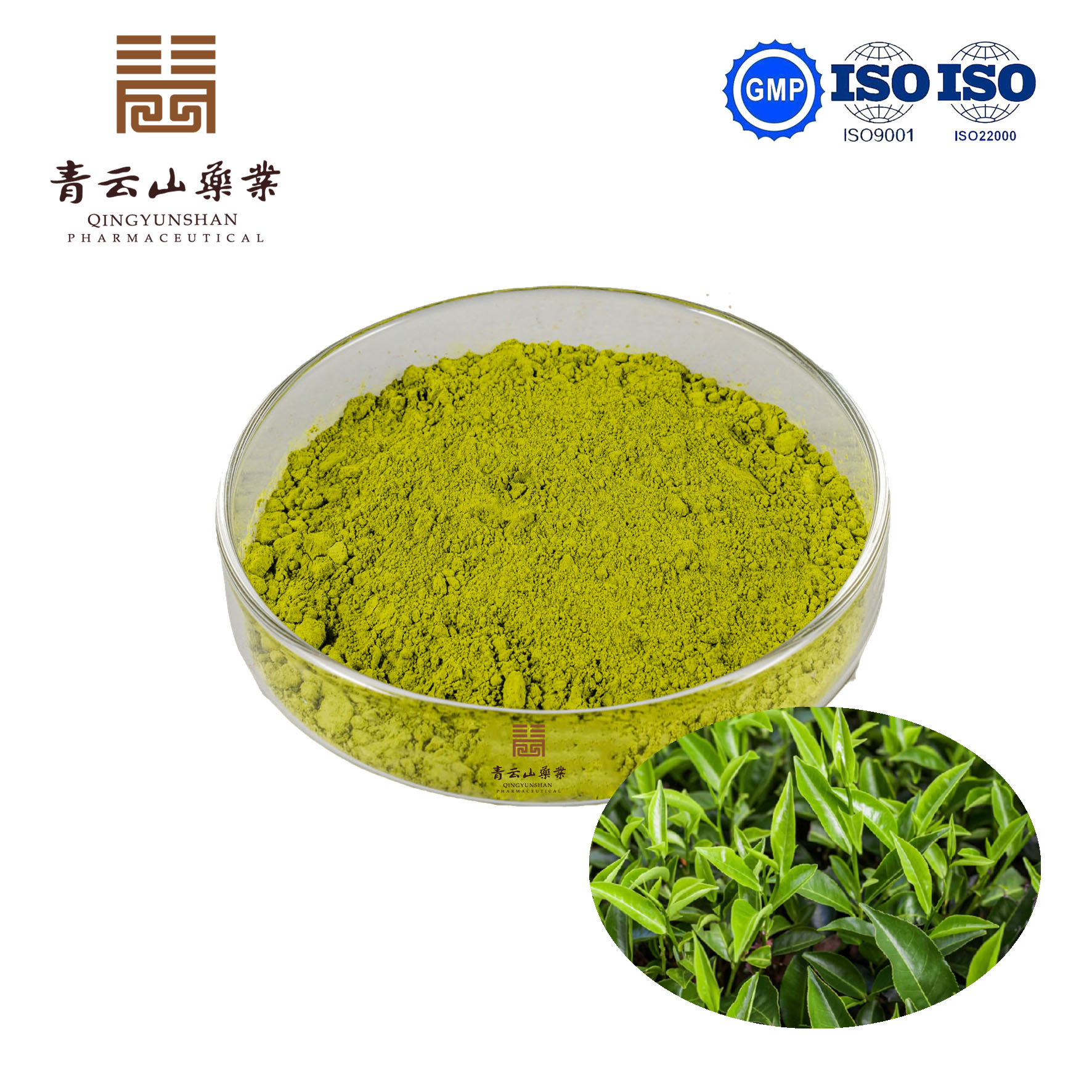 Green Tea Powder