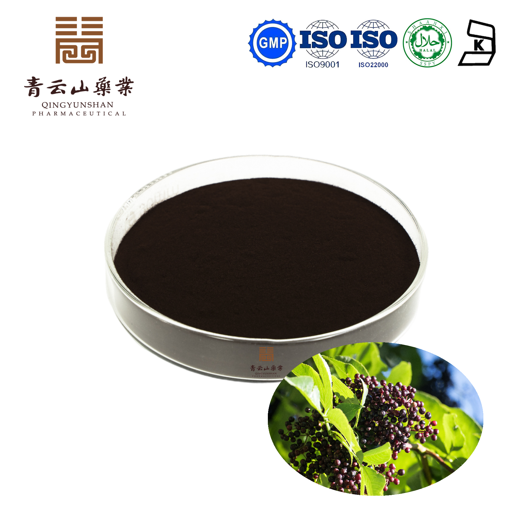 Elderberry Extract Powder